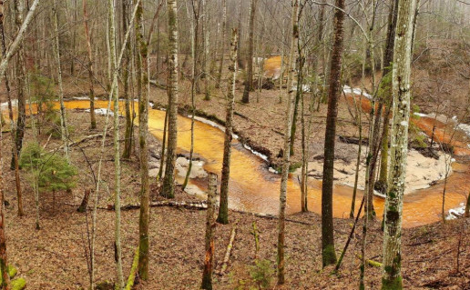 16_Lylavos pazintinis takas (2).jpg